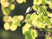 Что подразумевает инъекционная липосакция