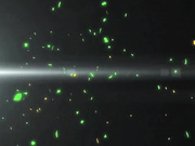 Повторная ринопластика - исправление ошибок или..?