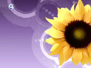 Кедровая бочка