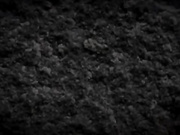 Современный вид силового троеборья