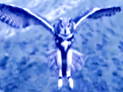 Особенности фитнес направления под названием прасу йога