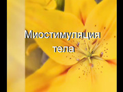 Как проводится миостимуляция тела