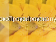 Принцип проведения процедуры пирсинга