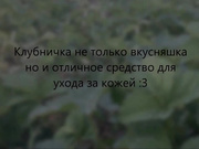 Маски из овощей нужно применять исходя из структуры кожного покрова