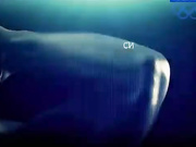 Физическая выносливость – насколько важен показатель в фитнесе