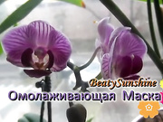 Для каких целей можно использовать косметические, жидкие маски