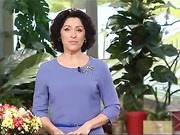 Гоммаж (Фитогоммаж)