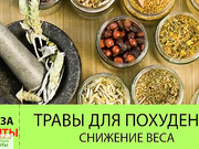 Детально о травах для похудения