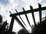 Все детали ментального фитнеса