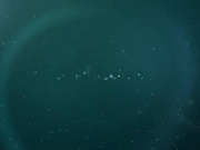 На чем основана суть широдхары, как классического спа направления