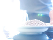 Все о питании. Углеводы. Денис Семенихин